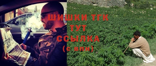 МДПВ Богданович