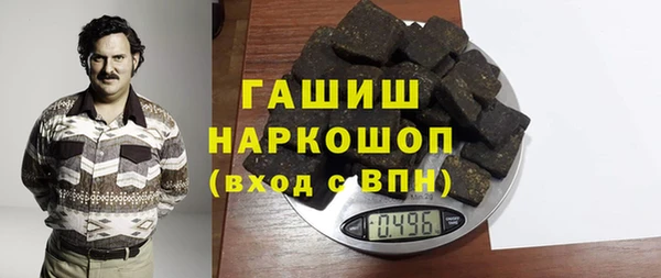 хмурый Ельня