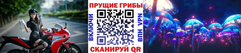 Псилоцибиновые грибы мухоморы Мещовск